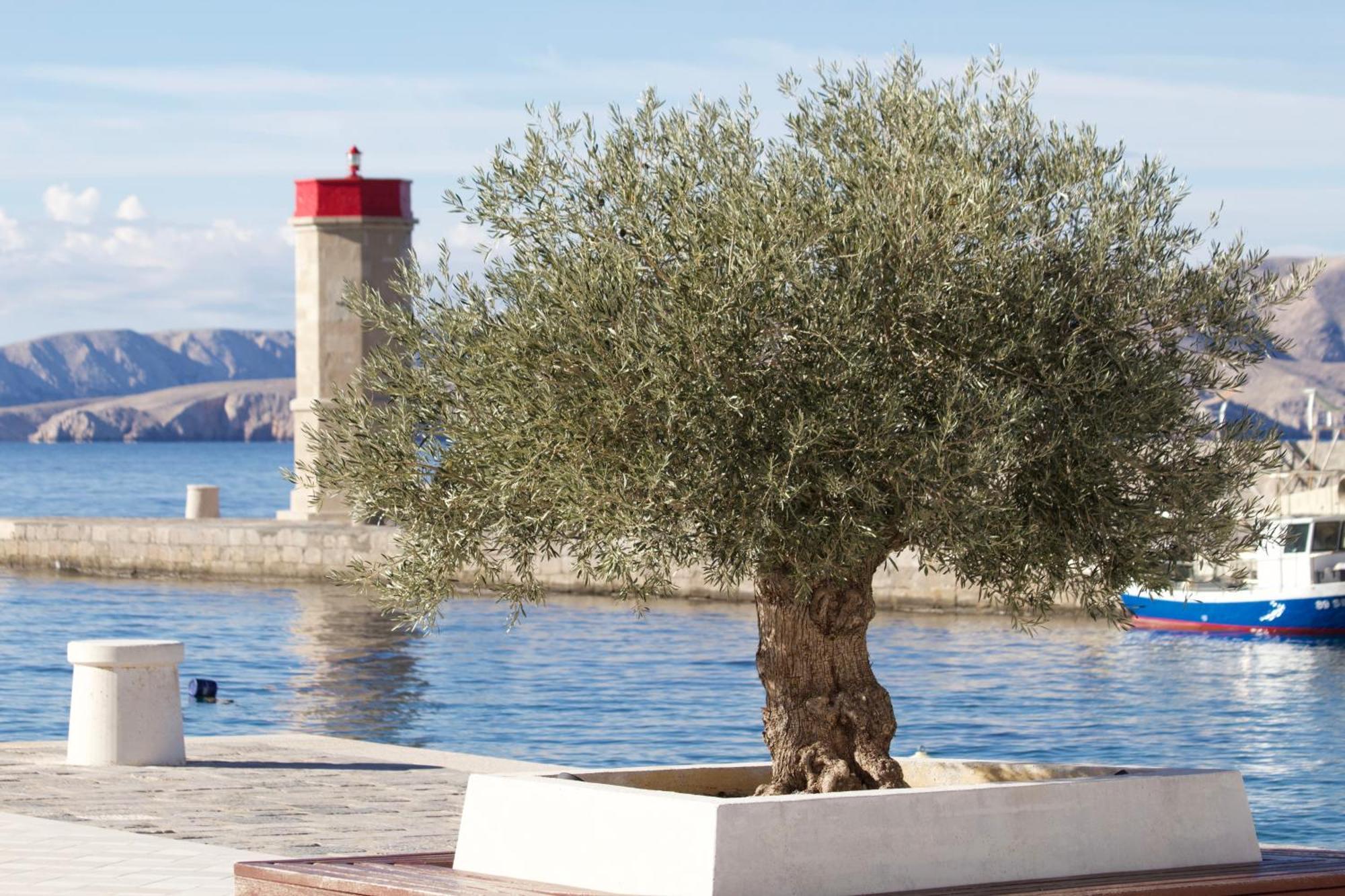 Apartment4You Senj  Bagian luar foto